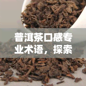 普洱茶口感专业术语，探索普洱茶的口感世界：专业术语解析与品鉴指南