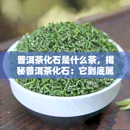 普洱茶化石是什么茶，揭秘普洱茶化石：它到底属于什么类型的茶叶？