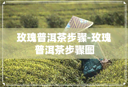 玫瑰普洱茶步骤-玫瑰普洱茶步骤图