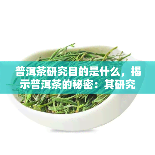 普洱茶研究目的是什么，揭示普洱茶的秘密：其研究目的为何？