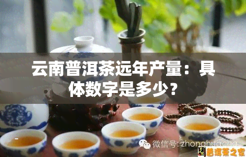 云南普洱茶远年产量：具体数字是多少？