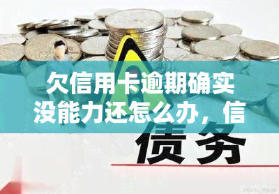 欠信用卡逾期确实没能力还怎么办，信用卡逾期无力偿还？教你应对方法！