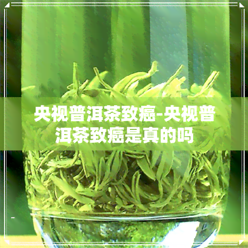 央视普洱茶致癌-央视普洱茶致癌是真的吗