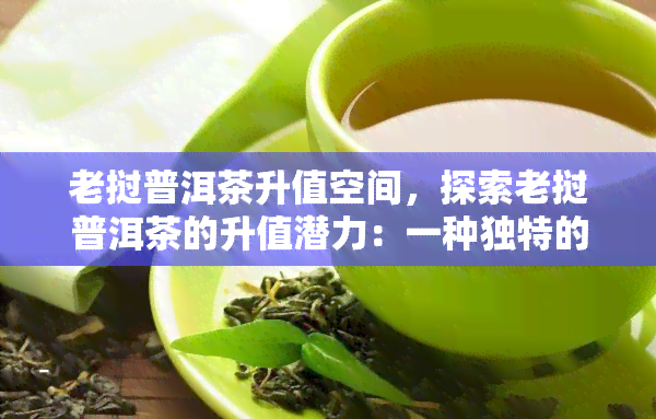 老挝普洱茶升值空间，探索老挝普洱茶的升值潜力：一种独特的投资机会