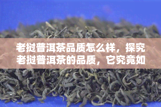 老挝普洱茶品质怎么样，探究老挝普洱茶的品质，它究竟如何？