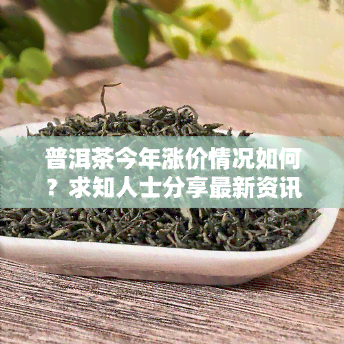 普洱茶今年涨价情况如何？求知人士分享最新资讯！