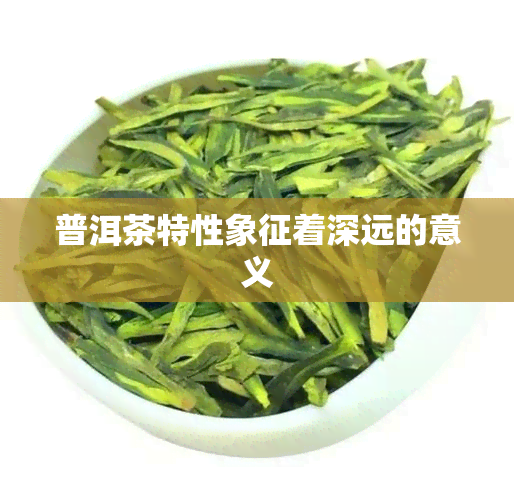 普洱茶特性象征着深远的意义