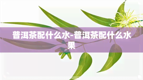 普洱茶配什么水-普洱茶配什么水果