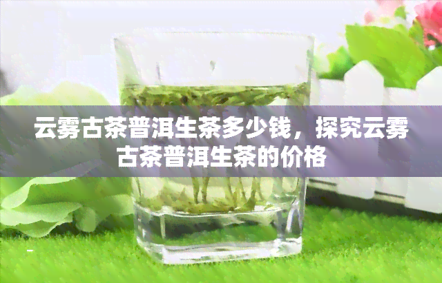 云雾古茶普洱生茶多少钱，探究云雾古茶普洱生茶的价格