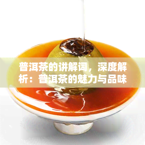 普洱茶的讲解词，深度解析：普洱茶的魅力与品味