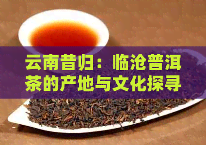 云南昔归：临沧普洱茶的产地与文化探寻