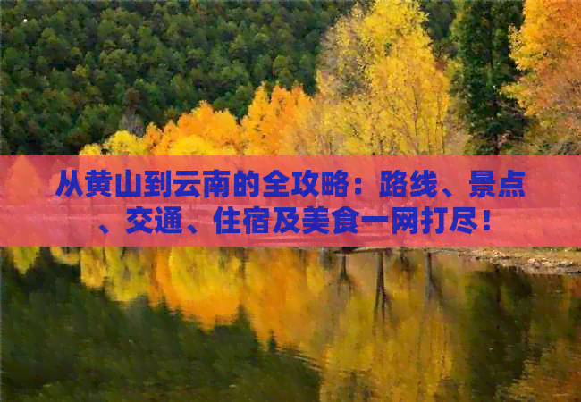 从黄山到云南的全攻略：路线、景点、交通、住宿及美食一网打尽！