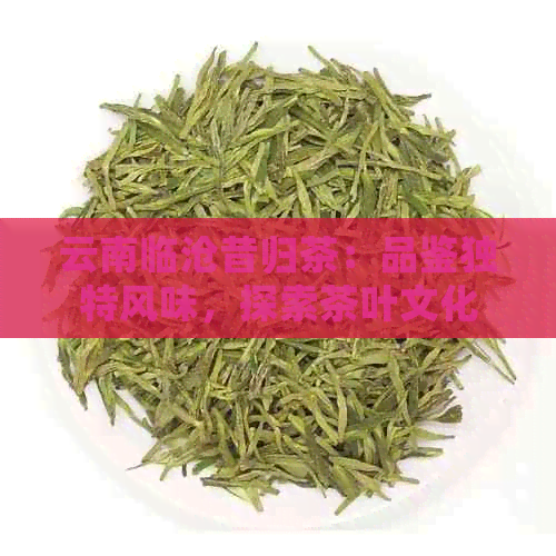 云南临沧昔归茶：品鉴独特风味，探索茶叶文化