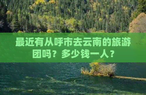 最近有从呼市去云南的旅游团吗？多少钱一人？