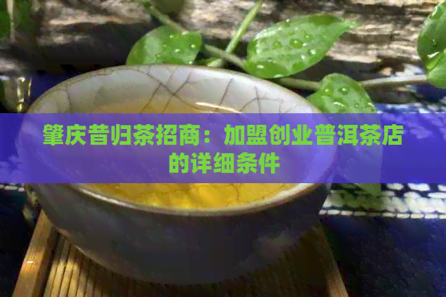 肇庆昔归茶招商：加盟创业普洱茶店的详细条件