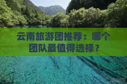 云南旅游团推荐：哪个团队最值得选择？