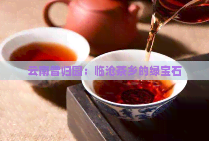 云南昔归园：临沧茶乡的绿宝石