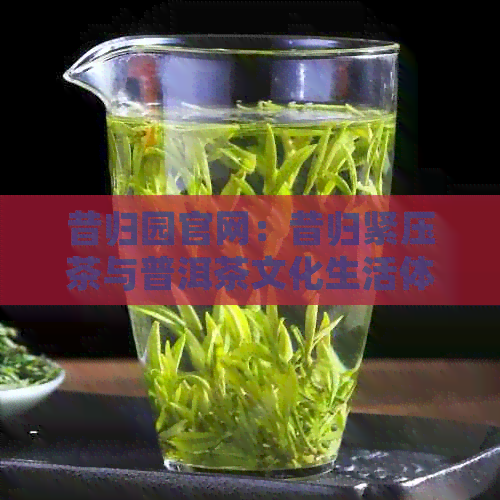 昔归园官网：昔归紧压茶与普洱茶文化生活体验馆