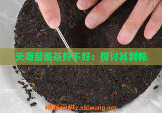 天喝苦菜茶好不好：探讨其利弊