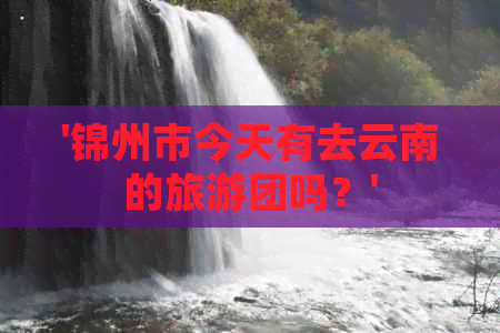 '锦州市今天有去云南的旅游团吗？'