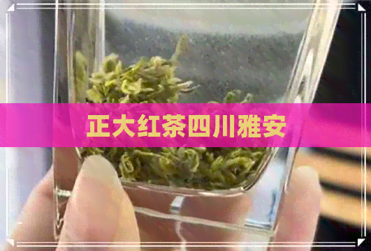 正大红茶四川雅安