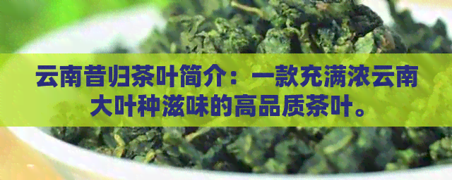 云南昔归茶叶简介：一款充满浓云南大叶种滋味的高品质茶叶。