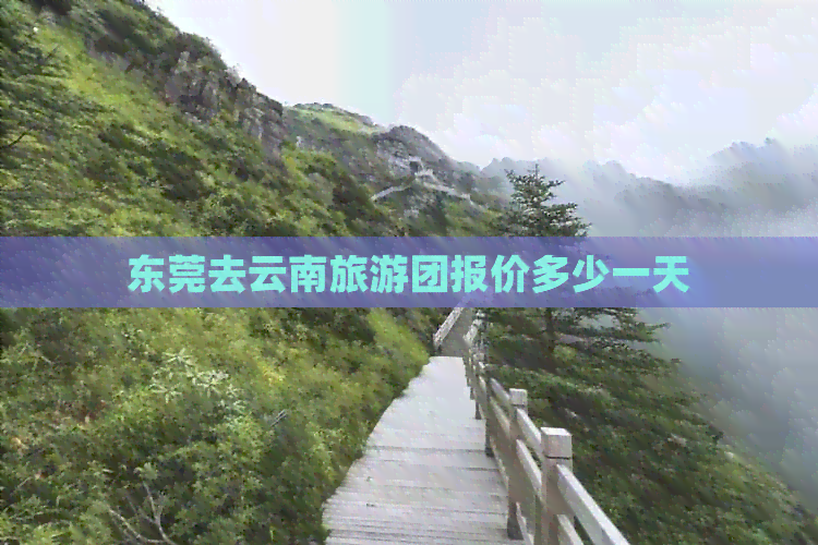 东莞去云南旅游团报价多少一天