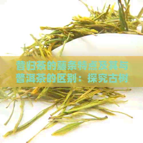 昔归茶的藤条特点及其与普洱茶的区别：探究古树昔归茶的口感和制作工艺