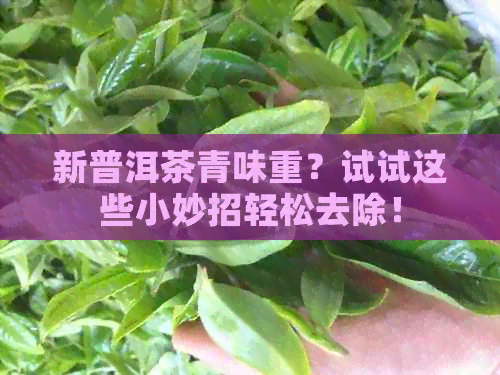 新普洱茶青味重？试试这些小妙招轻松去除！