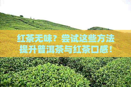 红茶无味？尝试这些方法提升普洱茶与红茶口感！