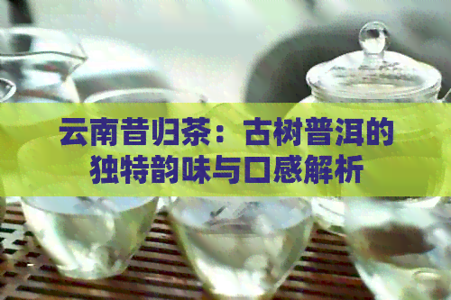 云南昔归茶：古树普洱的独特韵味与口感解析