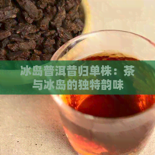 冰岛普洱昔归单株：茶与冰岛的独特韵味