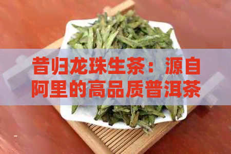 昔归龙珠生茶：源自阿里的高品质普洱茶新体验