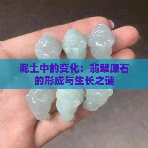 泥土中的变化：翡翠原石的形成与生长之谜