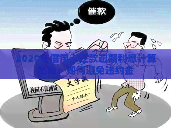 2020年信用卡还款逾期利息计算策略：如何避免违约金