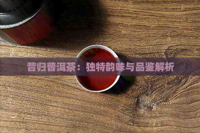 昔归普洱茶：独特韵味与品鉴解析