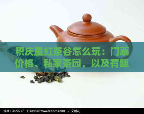 积庆里红茶谷怎么玩：门票价格、私家茶园，以及有趣的红茶