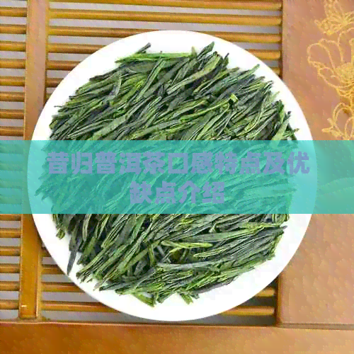 昔归普洱茶口感特点及优缺点介绍