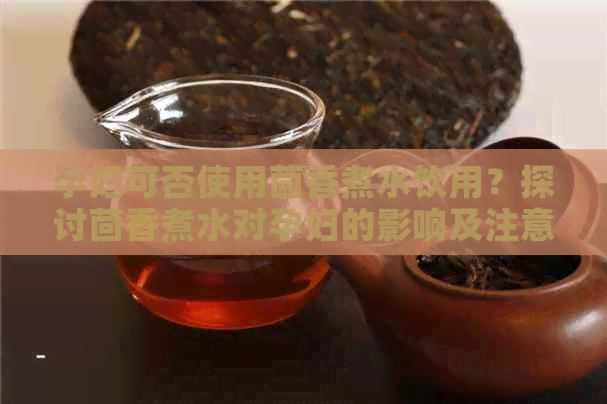 孕妇可否使用茴香煮水饮用？探讨茴香煮水对孕妇的影响及注意事项