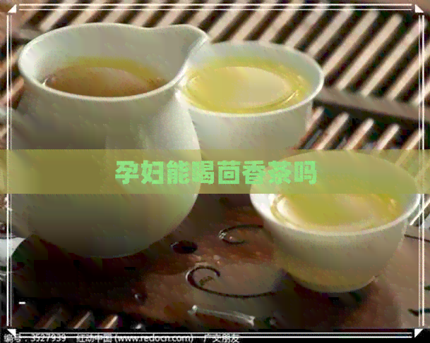 孕妇能喝茴香茶吗