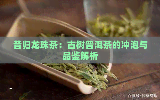 昔归龙珠茶：古树普洱茶的冲泡与品鉴解析