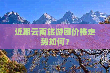 近期云南旅游团价格走势如何？