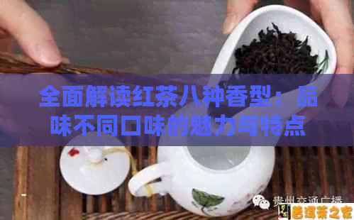 全面解读红茶八种香型：品味不同口味的魅力与特点