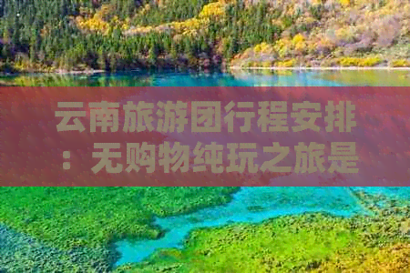 云南旅游团行程安排：无购物纯玩之旅是否可行？如何确保游客权益？