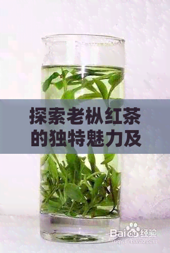 探索老枞红茶的独特魅力及其与普洱茶的异同