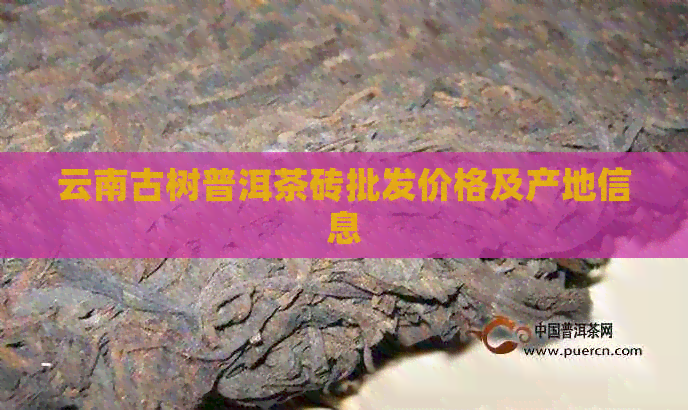 云南古树普洱茶砖批发价格及产地信息