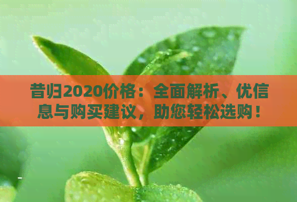 昔归2020价格：全面解析、优信息与购买建议，助您轻松选购！