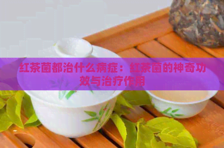 红茶菌都治什么病症：红茶菌的神奇功效与治疗作用