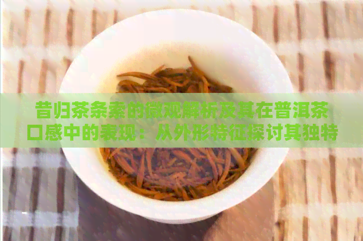 昔归茶条索的微观解析及其在普洱茶口感中的表现：从外形特征探讨其独特魅力