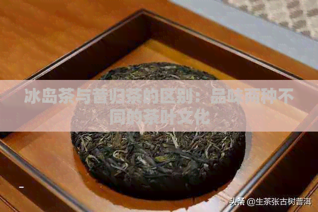 冰岛茶与昔归茶的区别：品味两种不同的茶叶文化